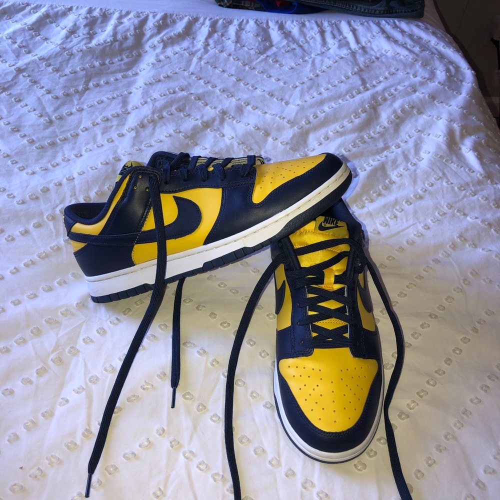 Nike Dunk Mens Size 10 - Michigan